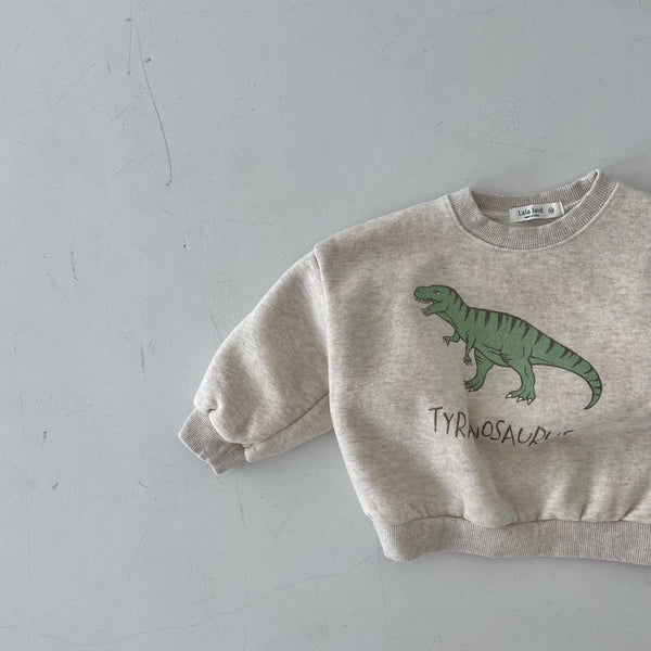Dinosaur Sweatshirts